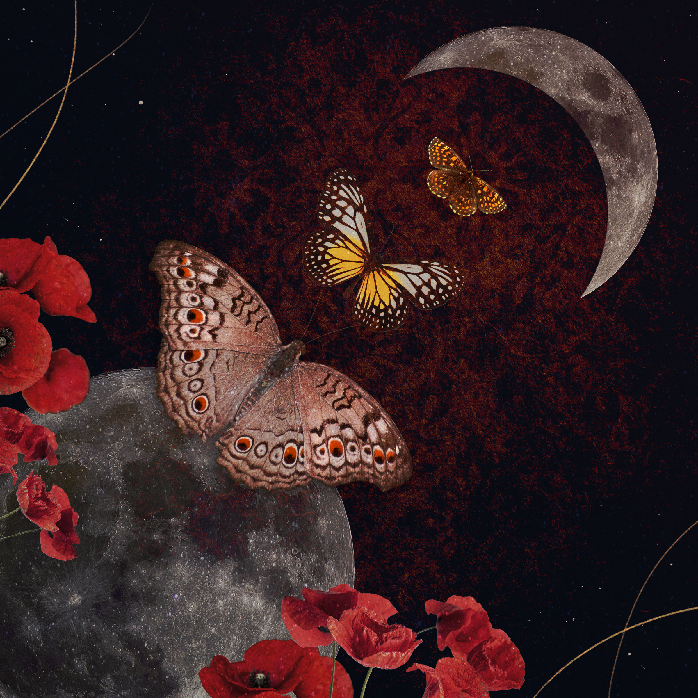 Schomburg_Final Project_1