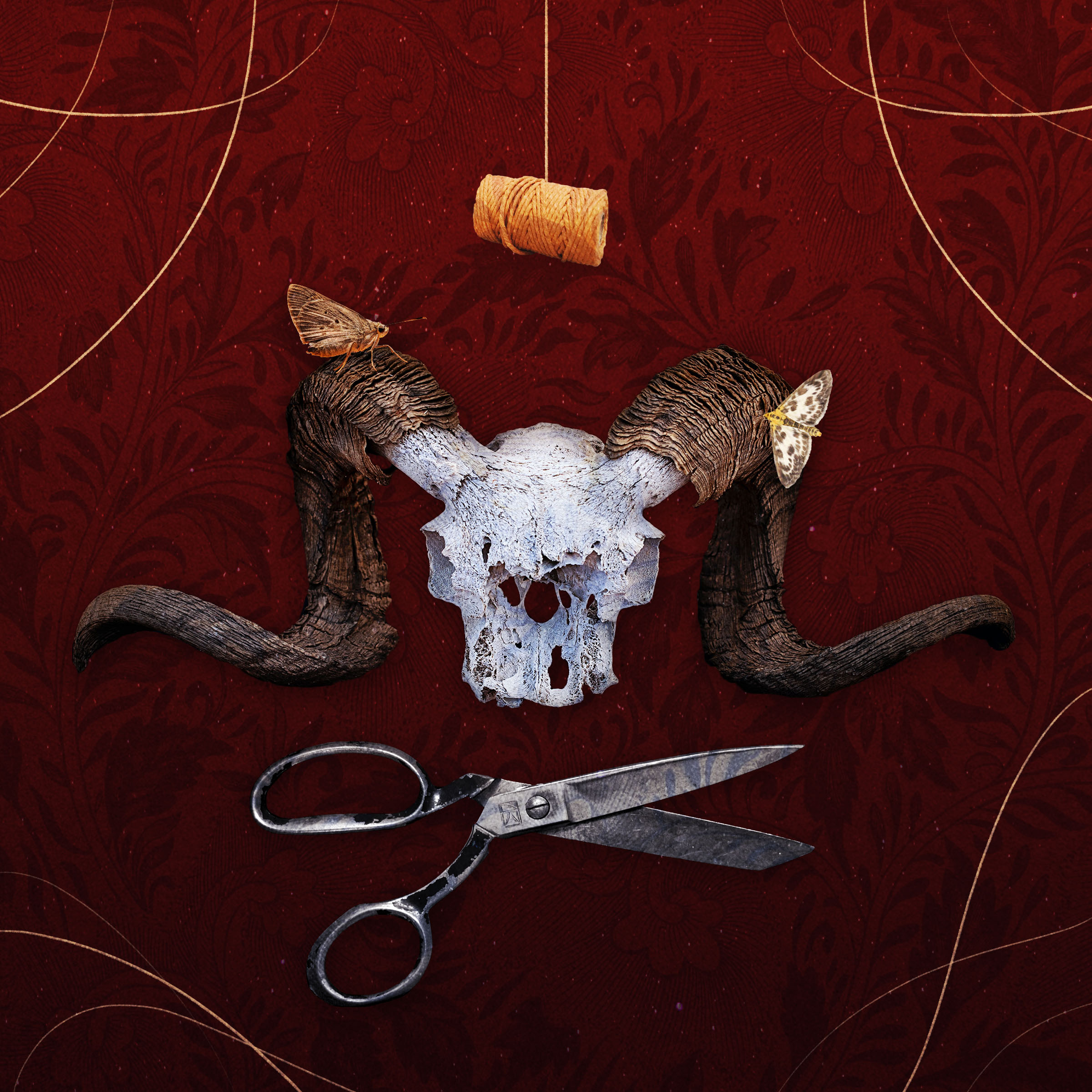 Schomburg_Final Project_2