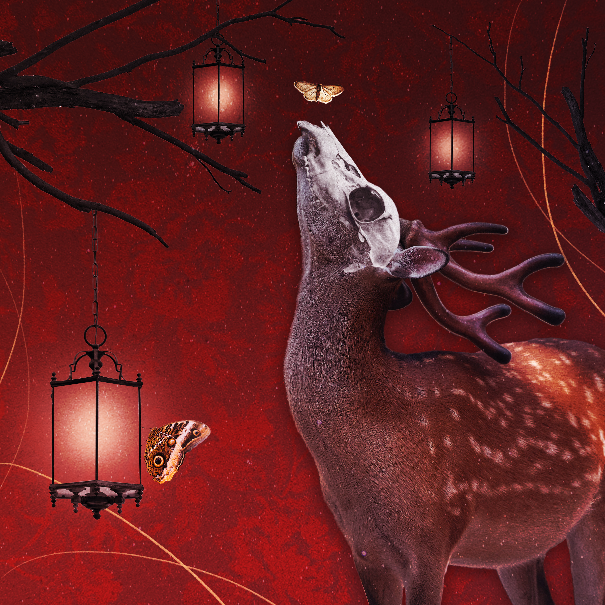 Schomburg_Final Project_3